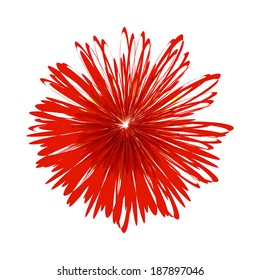 Dense-flowered aster isolated on white background
