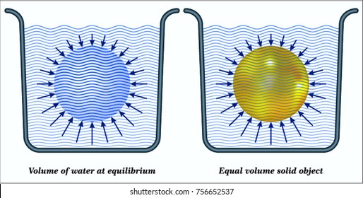 Density and Buoyant Forces
