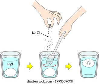 Density Experiment With Egg And Salt Water