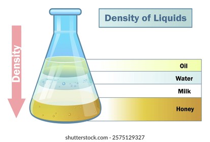 Density of liquids diagram. Honey, milk, water and oil. Science education illustration