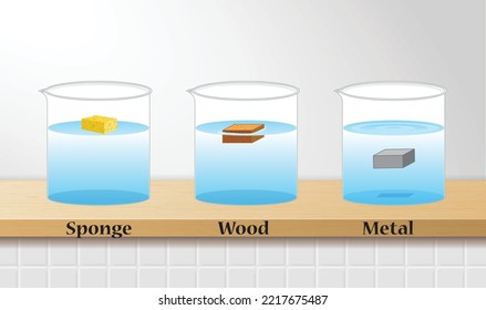 Density of Matters Science Experiment