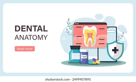 Dental anatomy poster. Xray with tooth structure. Health care and medicine. Diagnosis and treatment. Dentistry, orthodontics and stomatology. Landing webpage. Flat vector illustration