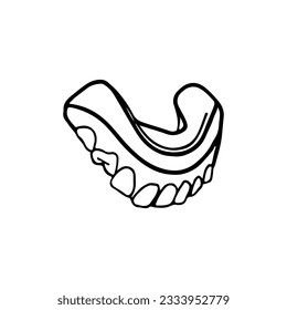 dental anatomy vector illustration concept