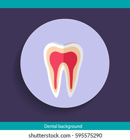 Fondo dental con dientes sanos. Ilustración vectorial.