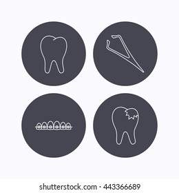 Dental braces, fillings and tooth icons. Tweezers linear sign. Flat icons in circle buttons on white background. Vector