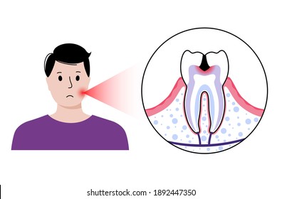 Dental care concept. Man in stomatology clinic, toothache problem. Tooth anatomy isolated flat vector illustration. Oral hygiene medical poster. Medicine diagnosis and treatment for teeth disease