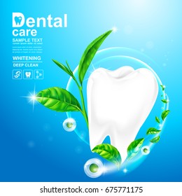 Dental Care Teeth and Green tea leaf Vector Concept on Background Light.