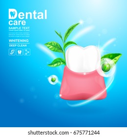 Dental Care Teeth and Green tea leaf Vector Concept on Background Light.