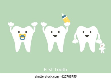 dental cartoon vector, baby tooth - first teeth concept