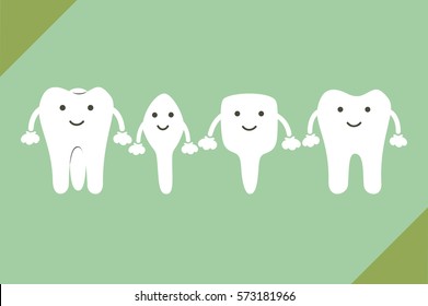 dental cartoon vector, tooth type - incisor, canine, premolar, molar