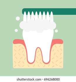 dental cartoon vector, toothbrush is brushing teeth. flat style for design
