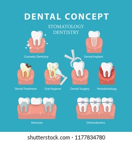 Dental concept. Vector poster. Dentistry and Stomatology.