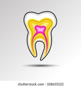 dental dentist tooth vector illustration hygiene medicine clean white care health
