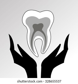 dental dentist tooth vector illustration hygiene medicine clean white care health