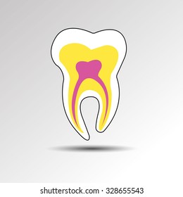 dental dentist tooth vector illustration hygiene medicine clean white care health