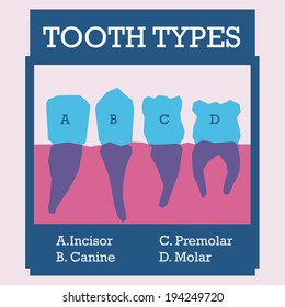 Dental design over pink background, vector illustration