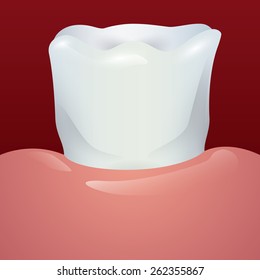 Dental design over red background,vector illustration.