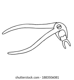 Dental forceps for the lower jaw, in the forceps is a removed tooth. Doodle style.