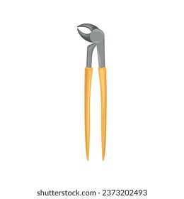 Dental forceps on white background