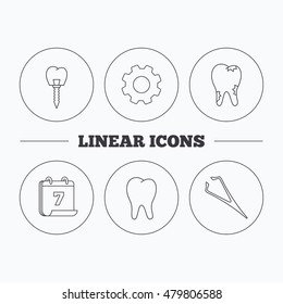 Dental implant, caries and tooth icons. Tweezers linear sign. Flat cogwheel and calendar symbols. Linear icons in circle buttons. Vector