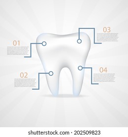 Dental infographics.Realistic tooth.EPS 10 file. 