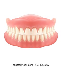 Dental jaw or dentures, false teeth with incisors. Mesh or model for dentrisity. Tooth care or oral medicine, fake smile or prosthesis with gum, implant. Stomatology, clinic, artificial tooth, health