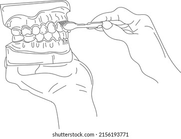 Dental logo, Tooth sketch, Outline sketch drawing of doctor showing how to brush teeth, line art illustration of brush and duplicate tooth