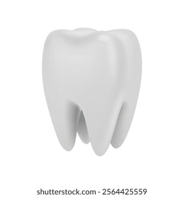 Dental model of premolar or molar tooth with healthy enamel and root, 3d rendering. Vector endodontist health and professional oral hygiene, healthcare and medicine. Dentistry clinic advertisement