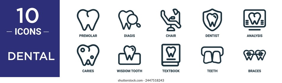 el conjunto de iconos de contorno dental incluye premolar de línea fina, diagis, silla, dentista, análisis, caries, iconos de muelas del juicio para informe, presentación, diagrama, Diseño web