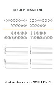 Dental pieces scheme for dentist to help to point and localizate different areas of teeth. Vector illustration.