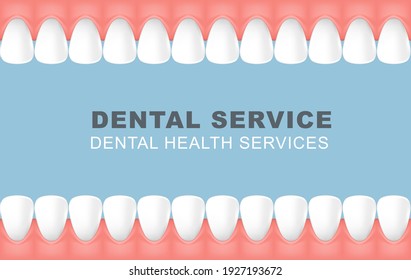 Dental poster with frame of row of teeth, foretooth line background, vector