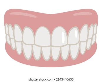 Dental Prosthesis, a hand drawn vector cartoon illustration of a prosthetic teeth.