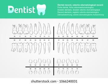 Teeth Record Chart