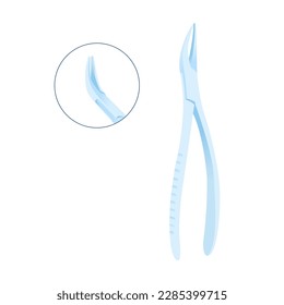 Dental Root Extracting Forceps. Close up Detailed Circle. Dental Oral Tool. Modern Flat Vector Illustration.