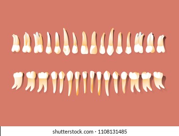 Dental Teeth Icon in Vector Illustration