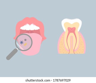 dental teeth and oral, mouth, tongue health care, internal organs tooth anatomy body part nervous system, vector illustration cartoon flat design clip art