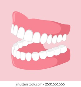 Dental theme with teeth model vector illustration.