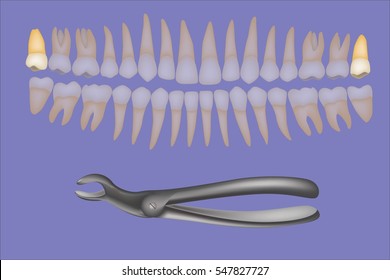 Dental tools set