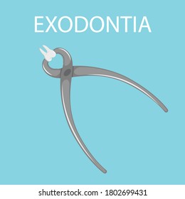 Dental tooth extraction. Exodontia. The tooth in the dental forceps. A white clean tooth is clamped between the forceps. Professional dental instrument. Isolated flat vector illustration