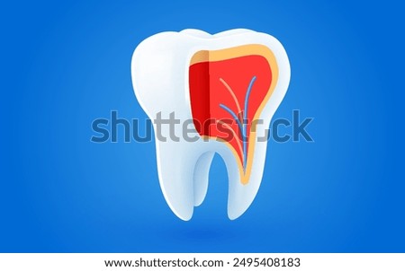Dental treatment. Tooth in section. Vector illustration