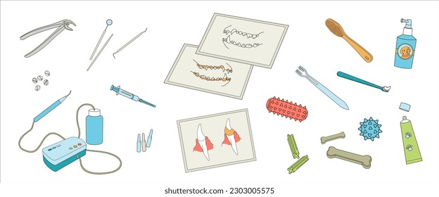 Dental Veterinary clinic, medical service or pet medical center Set dental  tools and healthcare dental equipment for pet