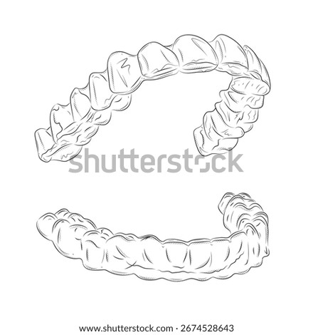 Dental whitening tray for upper and lower teeth illustration drawing in graphic style with black on white background.