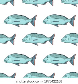 Dentex fish seamless pattern. Hand drawn vector fish. Sea, river or ocean fish. Design for fishing catch or fisher sport club. Fish market, menu seafood. Design template, banner