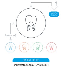 Dentinal tubules icon. Tooth medicine sign. Line circle buttons. Download arrow symbol. Vector