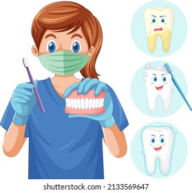 Dentist holding teethbrush and human teeth model with different teeth condition illustration