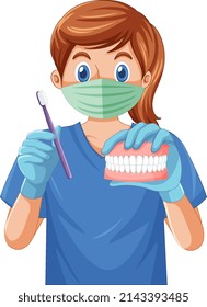 Dentist holding toothbrush and human teeth model  illustration