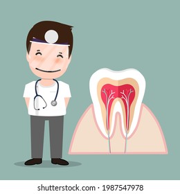 Dentist and Human teeth. Dental care background. Vector illustration.