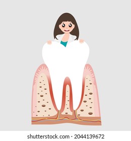 Dentist and Human teeth. Dental care background. Vector illustration.