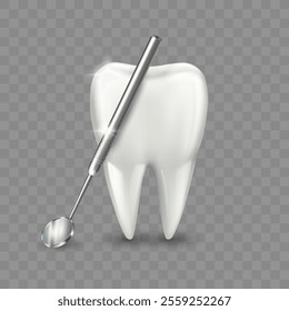 Dentist mirror for teeth with healthy tooth. Vector isolated realistic medical orthodontist tool with molar. Dental treatment and health care concept. Dentistry design for medicinal advertisement