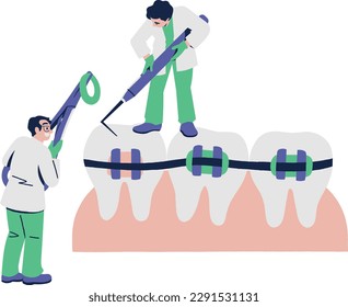 Dentist and orthodontist with stomatology tools. Vector illustration in flat style